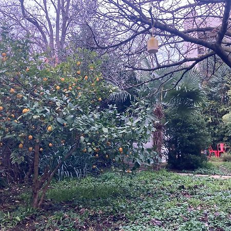 Un Jardin En Ville Toulouse Exterior photo