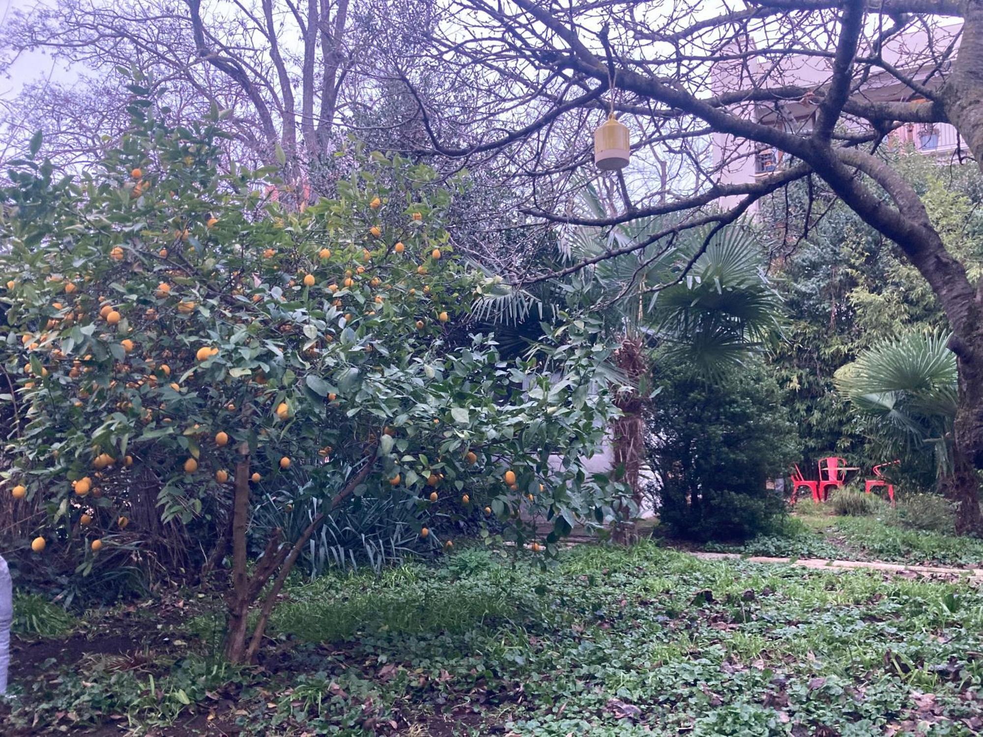 Un Jardin En Ville Toulouse Exterior photo